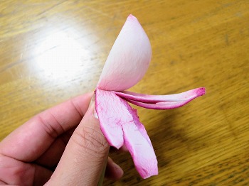 f:id:haruirosoleil:20181103135229j:plain f:id:haruirosoleil:20181103135229j:plain