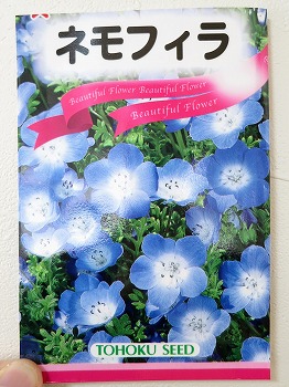 f:id:haruirosoleil:20190217183135j:plain f:id:haruirosoleil:20190217183135j:plain