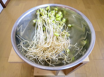 f:id:haruirosoleil:20190224172344j:plain f:id:haruirosoleil:20190224172344j:plain
