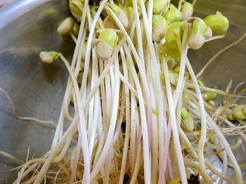 f:id:haruirosoleil:20190224172357j:plain f:id:haruirosoleil:20190224172357j:plain