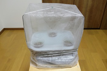 f:id:haruirosoleil:20200510054137j:plain f:id:haruirosoleil:20200510054137j:plain