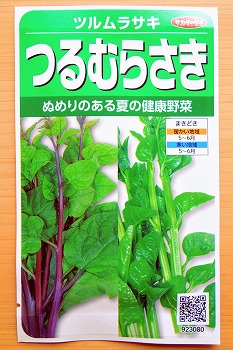 ヌルヌル野菜の「ツルムラサキ」を水耕栽培。支柱なしの放任状態で