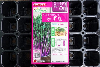 f:id:haruirosoleil:20200922203242j:plain f:id:haruirosoleil:20200922203242j:plain