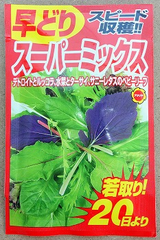 f:id:haruirosoleil:20201107204727j:plain f:id:haruirosoleil:20201107204727j:plain