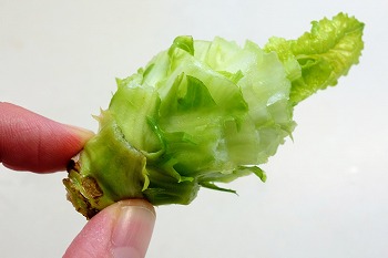 f:id:haruirosoleil:20201128181409j:plain