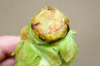 f:id:haruirosoleil:20201205202704j:plain