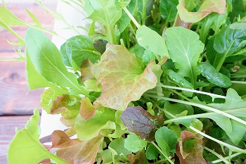f:id:haruirosoleil:20201205204913j:plain