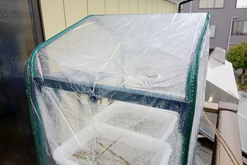 f:id:haruirosoleil:20201206195805j:plain