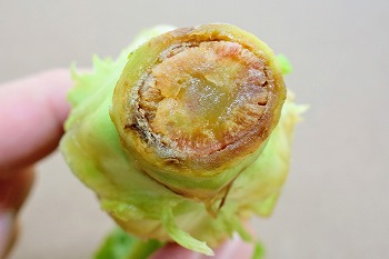 f:id:haruirosoleil:20201213121753j:plain
