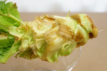 f:id:haruirosoleil:20201219212302j:plain