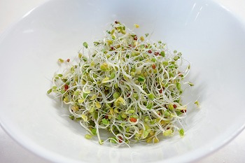 f:id:haruirosoleil:20201224211718j:plain