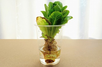 f:id:haruirosoleil:20201226200418j:plain