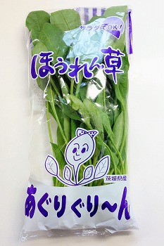 f:id:haruirosoleil:20210123201844j:plain