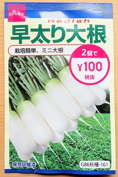 f:id:haruirosoleil:20210813124742j:plain
