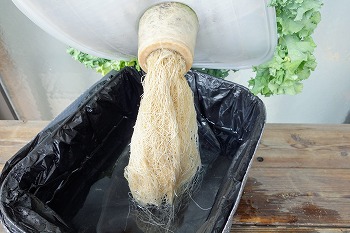f:id:haruirosoleil:20210911191635j:plain