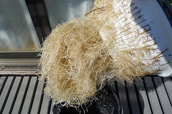 f:id:haruirosoleil:20220313180419j:plain